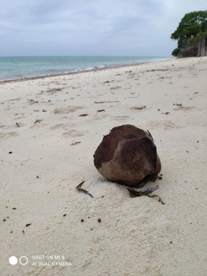 Aurora Beach Hotel Nungwi Kültér fotó